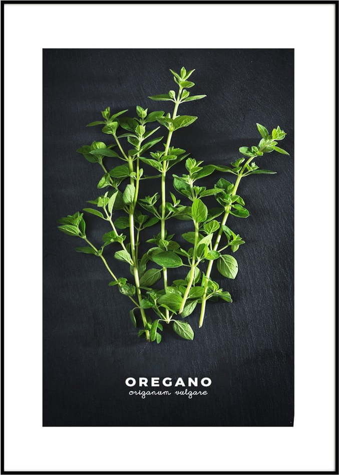 Plakát v rámu 50x70 cm Oregano – Styler Styler